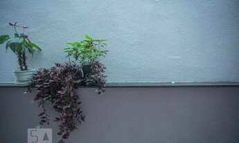 Imagem 5: Casa para Aluguel - Planalto Paulista, 3 Quartos, 167 m2