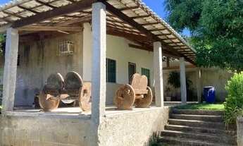 Imagem 3: Casa simples gramada