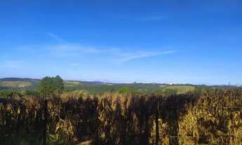 Imagem: Adquira Seu Terreno de 1000m² Para Chácaras!