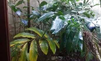 Imagem 2: Apartamento para venda com 78 metros quadrados com 2 quartos