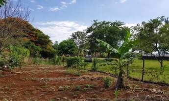 Imagem 7: LONDRINA - Terreno Padrão - Conjunto Cafezal 1