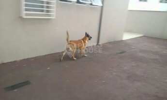 Imagem 3: Casa sobrado, 4 dormitórios para venda no bairro da Saúde, em São Paulo