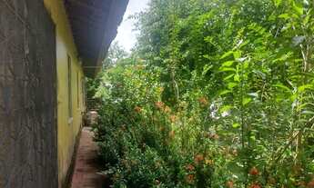 Imagem 3: Casa plana próx. Hospital do Coração, 04 qtos (01 ste), sala de estar/jantar, cozinha amer