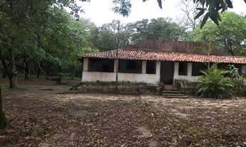 Imagem 3: VENDO TERRENO NA BEIRA DA BR 135 KM 19 - mede 33 hectares