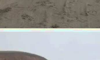 Imagem 6: Ótimos terrenos planos em Três Rios RJ