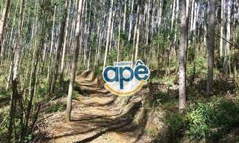 Imagem 2: Terreno à venda, 340000 m² por R$ 5.000.000,00 - Alto Castelinho - Vargem Alta/ES