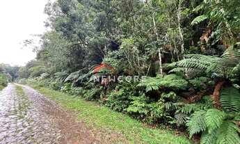 Imagem 7: Lote em Rua 21 - Alpes - São Francisco de Paula/RS