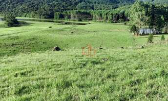 Imagem 7: Sítio em São Francisco de Paula!