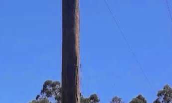 Imagem 5: Sítio Pedra Branca