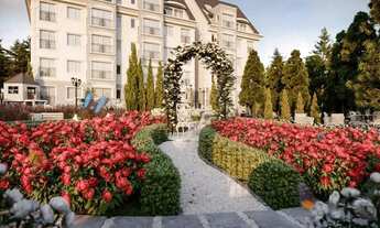 Imagem 4: Apartamento 2 Dorm - Bairro Planalto