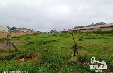 Imagem 6: Área à venda, 6050 m² por R$ 1.800.000,00 - Campo Largo da Roseira - São José dos Pinhais