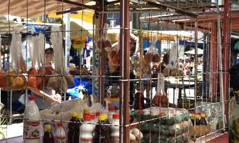 Imagem: Ponto com barraca de frutas e verduras