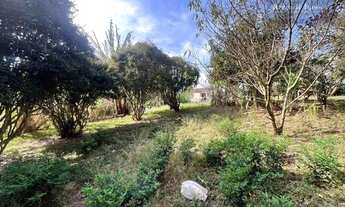 Imagem 7: Terreno à venda, 2600 m² por R$ 3.000.000,00 - Santo Inácio - Curitiba/PR