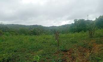 Imagem 4: 3 mil mts quadrados apenas 1 km da rodovia