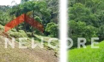 Imagem 6: Sítio em Rua Estrela DOeste - Portal do Santa Paula - Cotia/SP