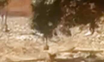 Imagem 6: Terreno pertinho da Kennedy no bairro Socopo medindo 25X50 com 1.250m²