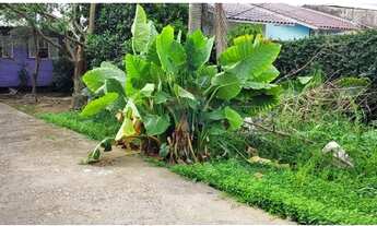 Imagem 3: Terreno Privilegiado em Cachoeirinha - 210m²