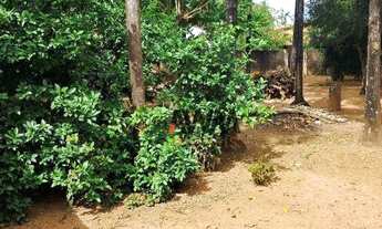 Imagem: Área à venda, 2635 m² por R$ 1.990.000,00