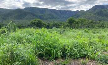 Imagem 2: Fazenda Goiás Monte alegre