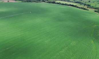 Imagem 2: Fazenda Itaberaí