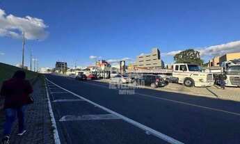 Imagem 2: Terreno frente BR 476 Araucária