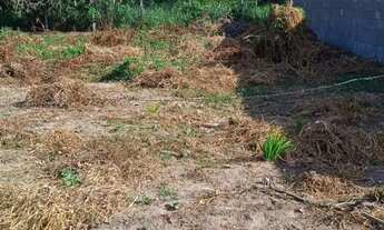 Imagem: Terreno 6 por 25 a 300 metros da noide