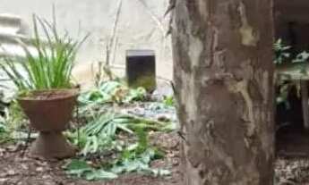 Imagem 6: CASA /BARRACÃO/ COMERCIO PARQUE AMAZONIA