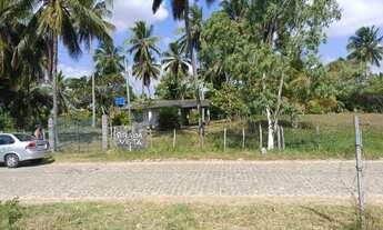 Imagem 2: Sítio na praia da Caueira