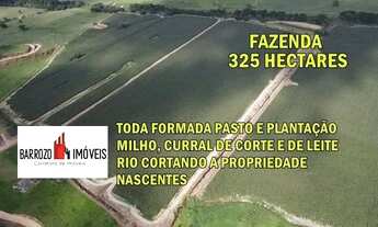 Imagem: Barrozo Imóveis - Fazenda a venda em Silva
