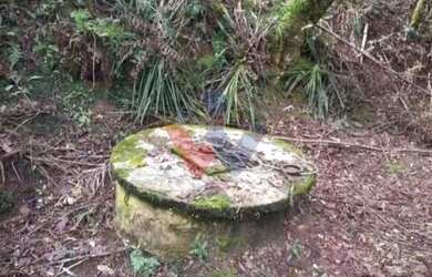 Imagem 3: Terreno para Chácara em Mandirituba 6.050 m Próximo à BR-116