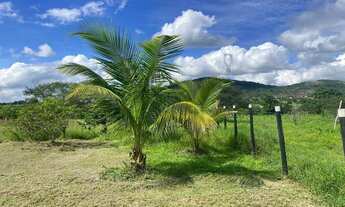 Imagem 4: Excelente sítio de 3 tarefas com casa de 4/4 e arvores frutíferas diversas próxima a BA