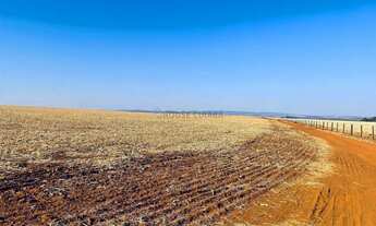 Imagem: Fazenda de 158 alqueres no Município de