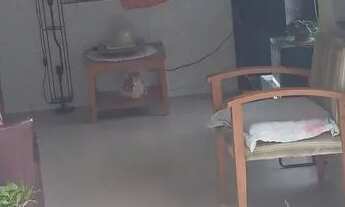 Imagem 5: Venda da casa Casa com 3 dormitórios