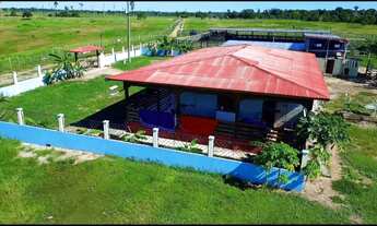 Imagem 7: VENDO FAZENDA EM RIO PRETO DA EVA