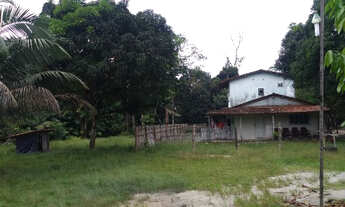 Imagem: Sitio no cupiuba em Castanhal-Pa 100x450