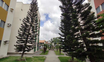 Imagem 5: Vendo Apartamento 3/4, Mauricio de Nassau - Caruaru