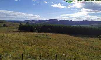 Imagem 6: VENDO FAZENDA DE 178 HECTARES