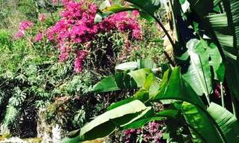 Imagem: Terreno residencial à venda, Parque do