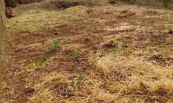 Imagem: Terreno à venda, 215 m² por R$ 45.000,00