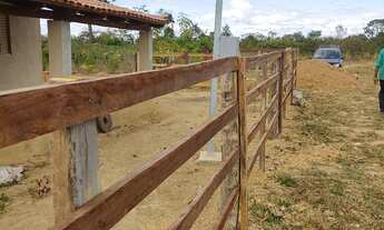 Imagem 2: Fazenda de 67 hectares no Município de Buritis Mg