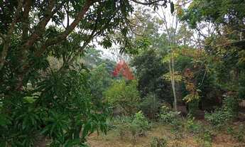 Imagem 2: Rural - Venda - Estância Porto Velho - Cod. 7803