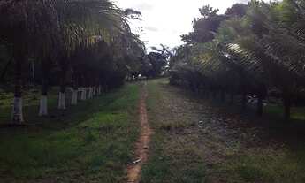 Imagem 2: Chácara Chácara com venda por R$480.000