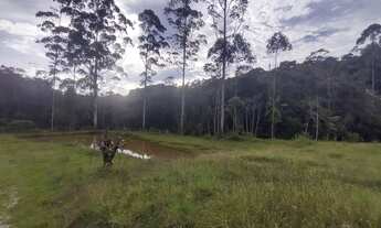 Imagem 2: Lindos 6 mil mts com lago 140 mil reais