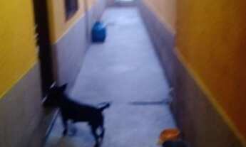 Imagem 5: Casa com 2 quartos, 70m2, à venda em Praia Grande, Tupi