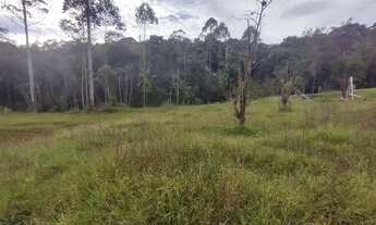 Imagem 3: Lindos 6 mil mts com lago 140 mil reais