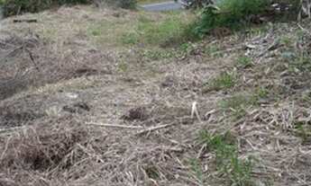 Imagem 3: Terreno 324m Barracão Gaspar com escritura pública