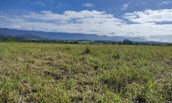 Imagem 6: Fazenda/Sítio/Chácara para venda possui 20000 metros quadrados