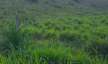 Imagem 7: Terra 14 alqueires pego imóvel na negociação? 50 km de Parauapebas?