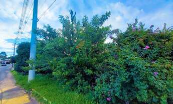 Imagem 5: SãO LEOPOLDO - Terreno Padrão - Independência