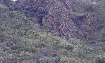 Imagem 6: Chácara Fercal Sobradinho 7.6 Hectares / Oportunidade